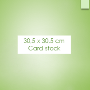 30,5*30,5 cm card stock