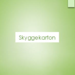 Skyggekarton