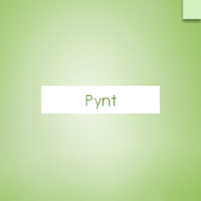 PYNT