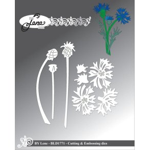 By Lene BLD1771 - Dies Cornflower