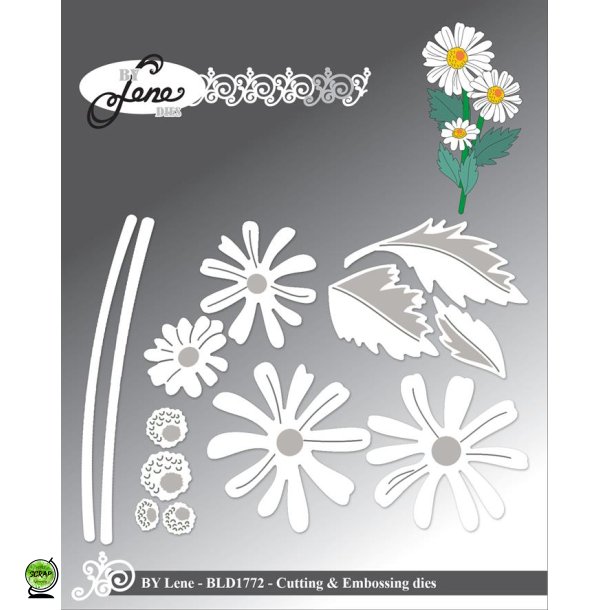 By Lene BLD1772 - Dies Daisy flower