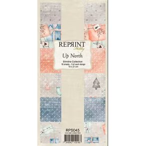 Reprint RPS045 - Up North 10*21 cm